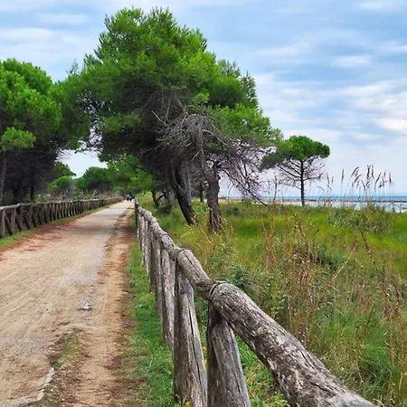 Апартаменты Flat A Few Steps From The Sea